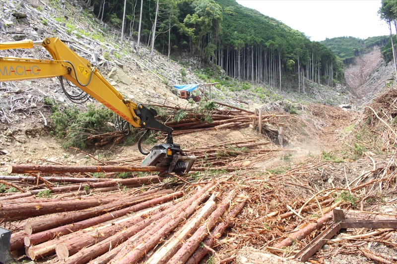 立木伐採・索道架設の林業なら和歌山県田辺市の久保組｜求人募集中