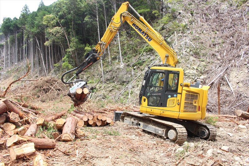 立木伐採・搬出作業・索道架設・森林作業道開設等の林業