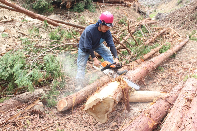 立木伐採・索道架設の林業なら和歌山県田辺市の久保組｜求人募集中