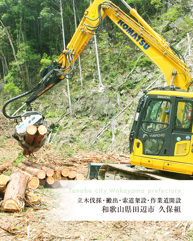 和歌山県田辺市　久保組 立木伐採・搬出・索道架設・作業道開設